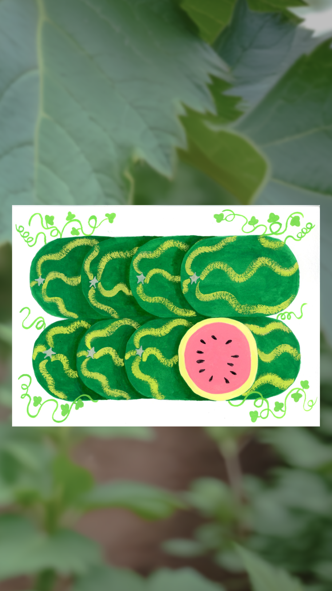 Melon