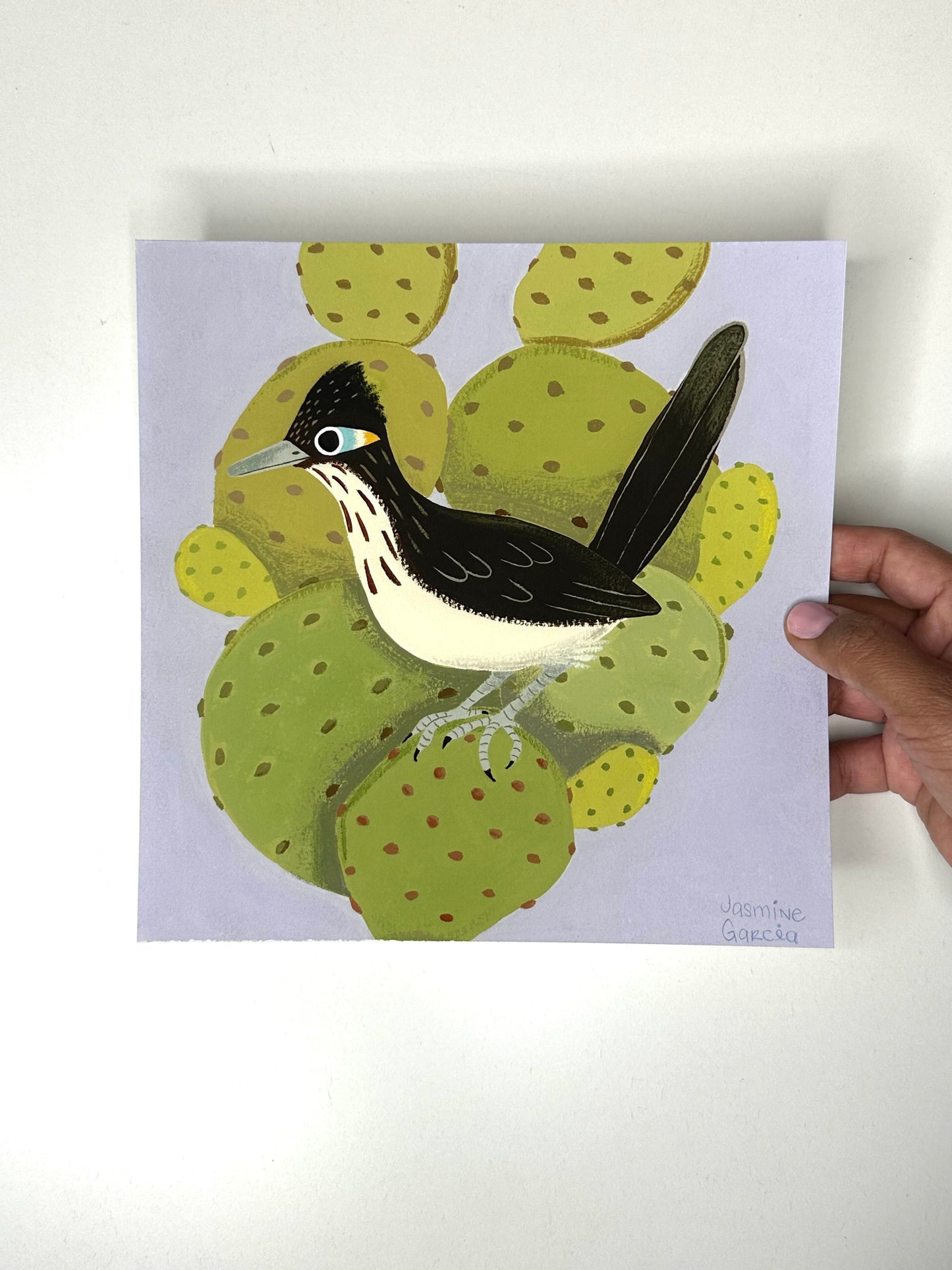Cactus Roadrunner