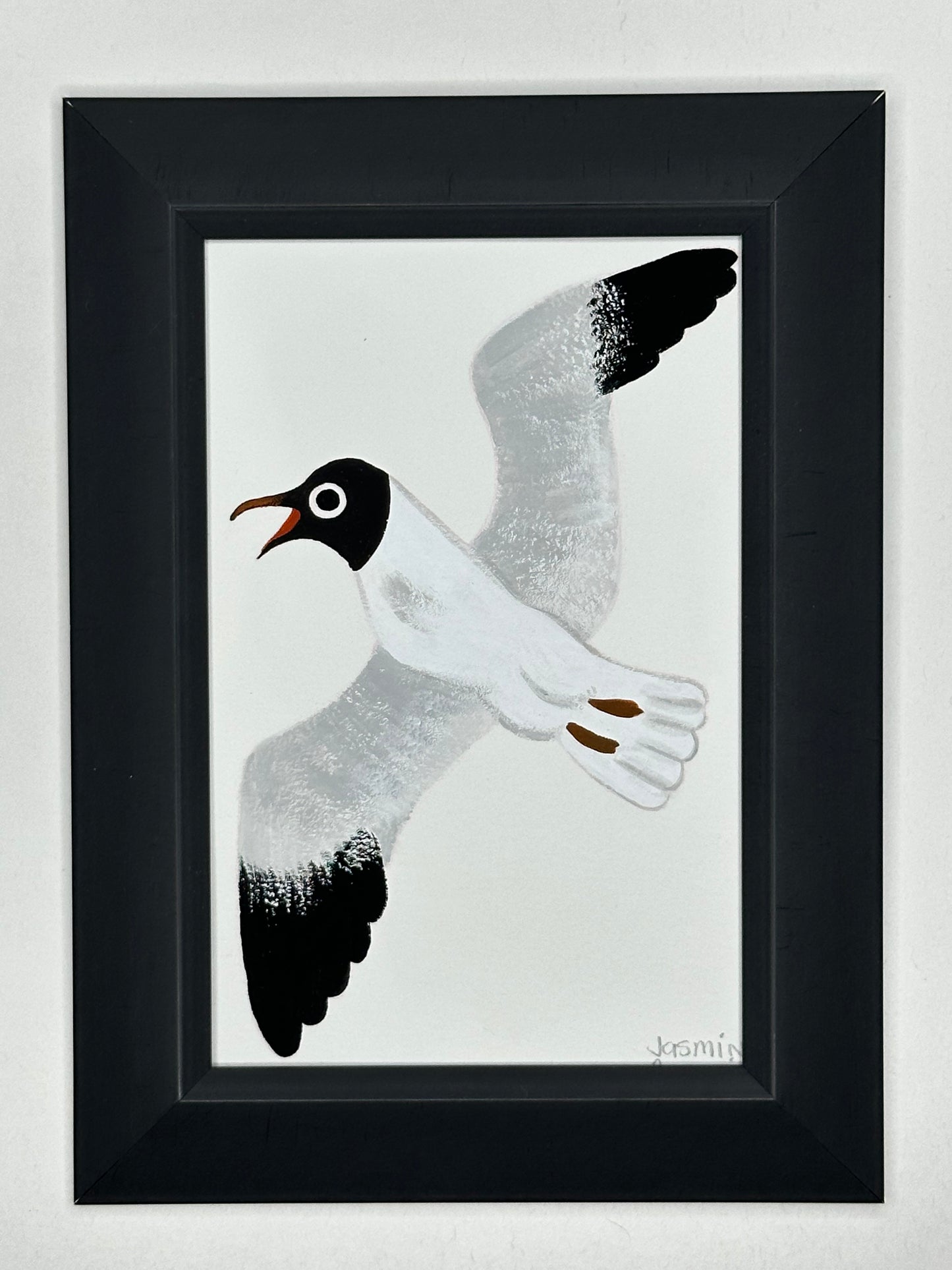 Black headed gull