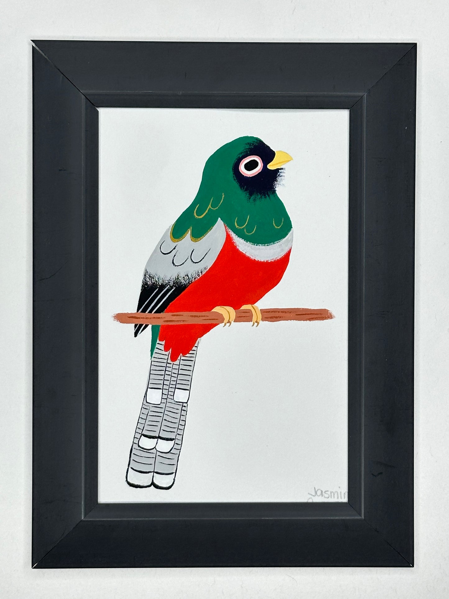 Masked trogon