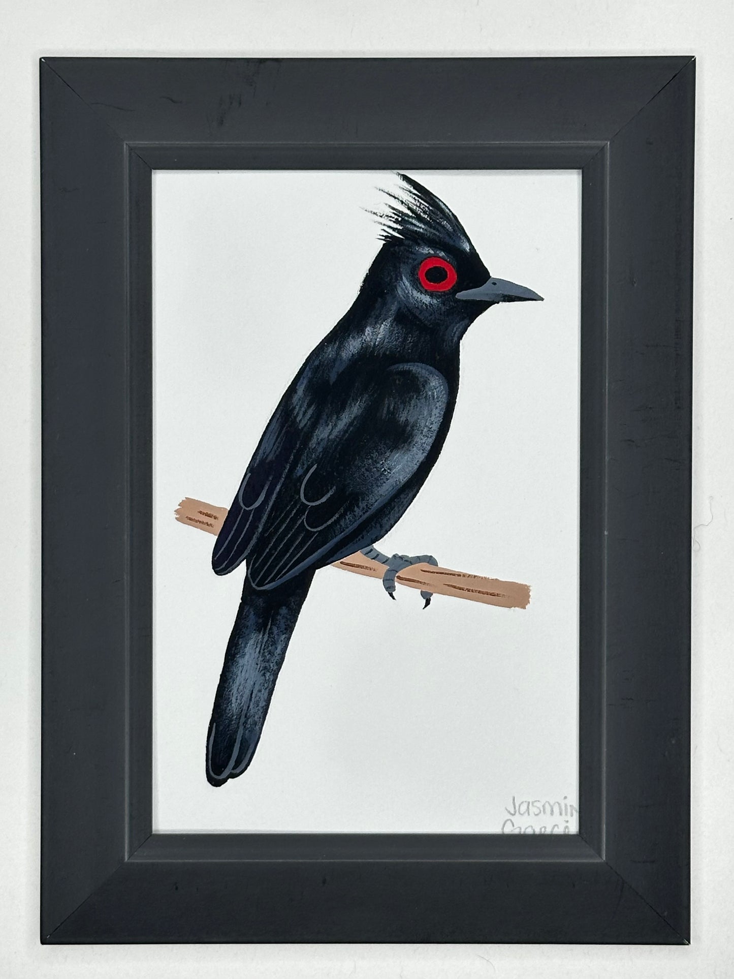 Phainopeplas