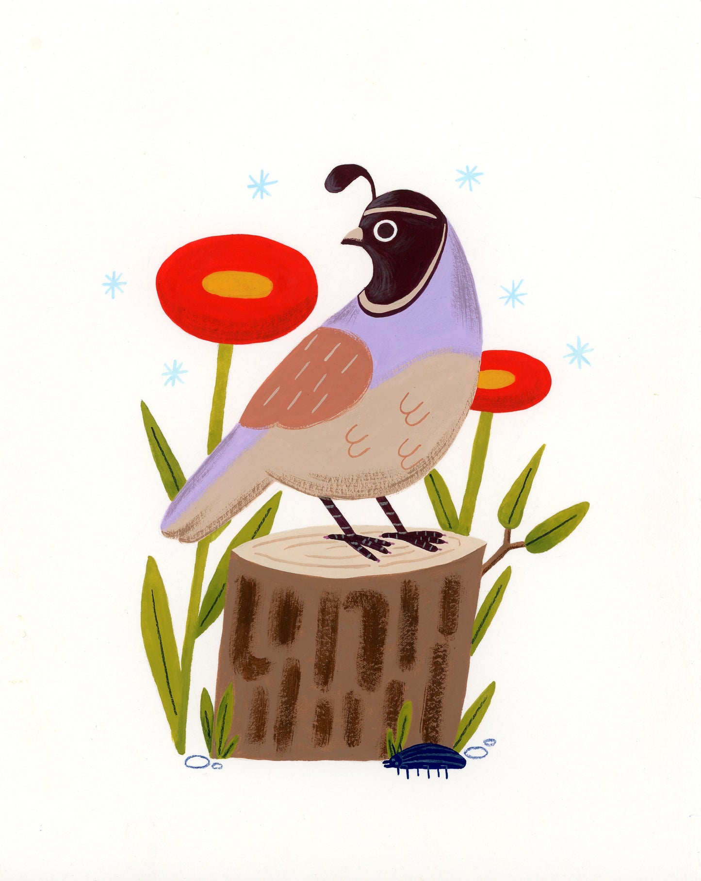 Quail