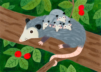 Critter
