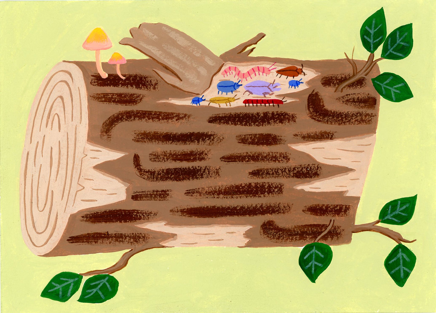 Bark