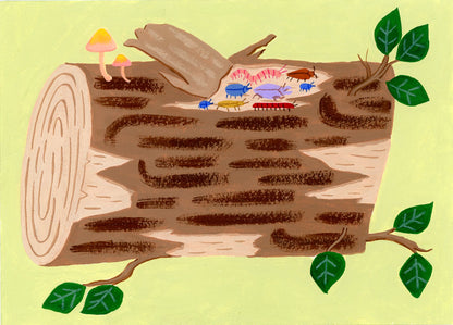 Bark