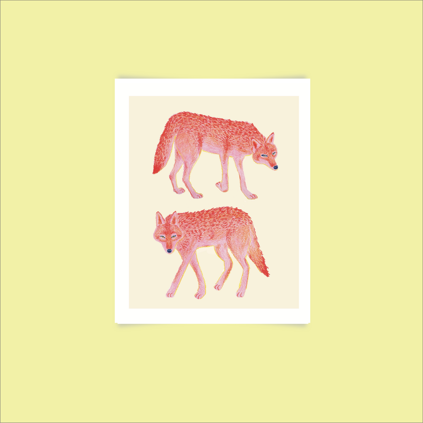 Coyotes Print