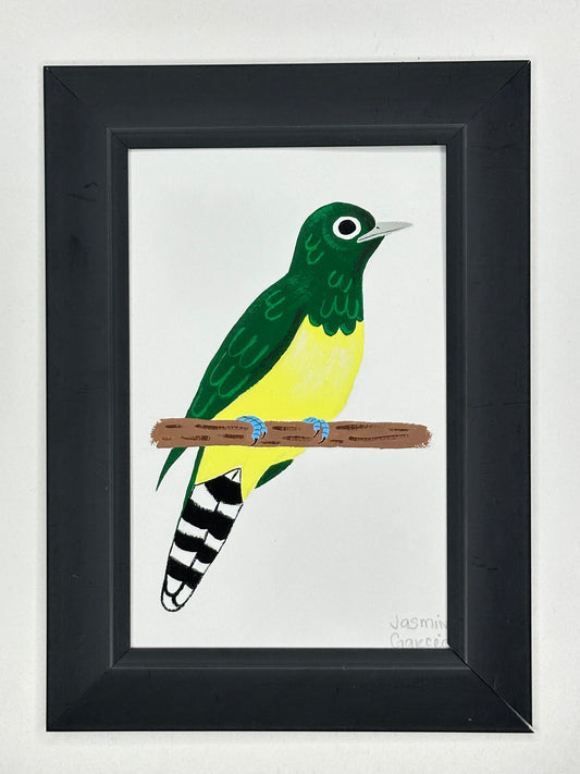 African Emerald Cuckoo
