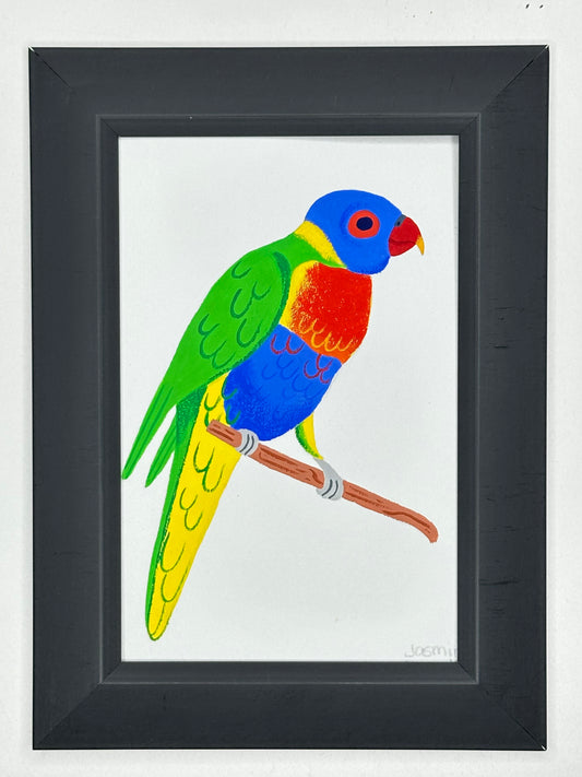 Rainbow lorikeet
