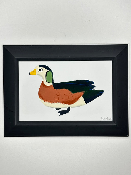 African Pygmy Duck