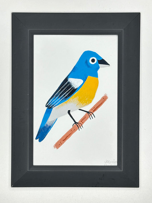 Lazuli Bunting
