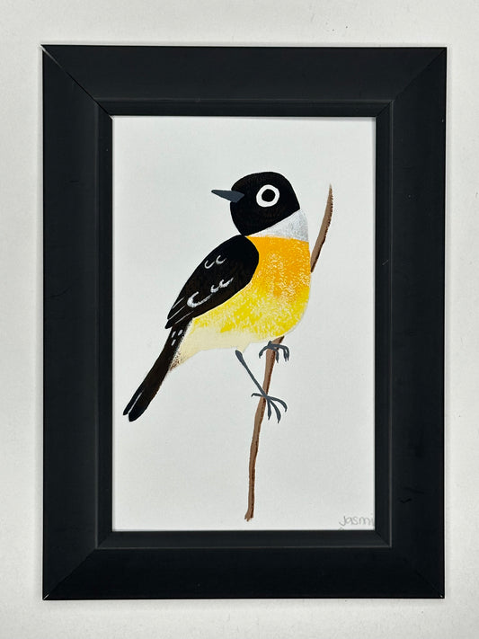 Stonechat