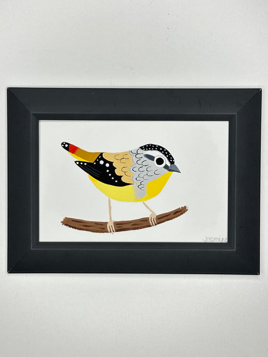 Sotted pardalote