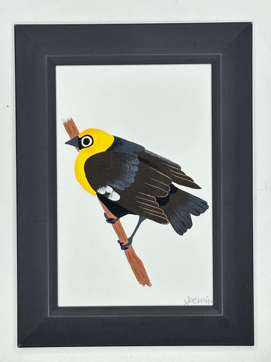 Yellow Headed Blackbird