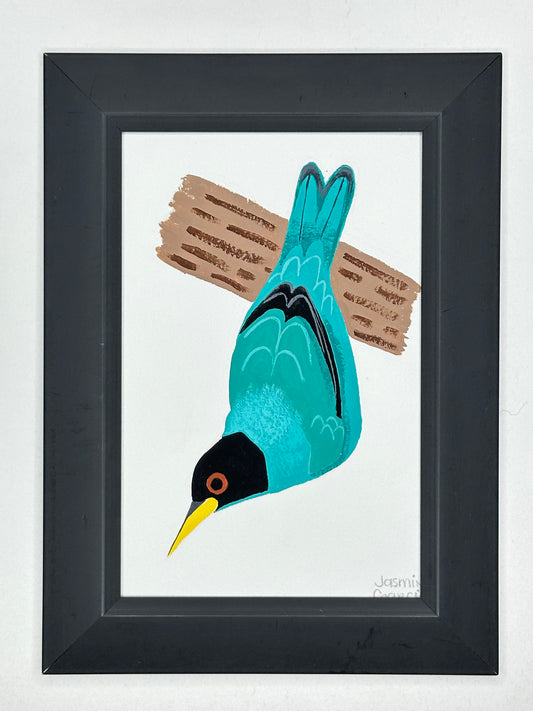 Green honeycreeper