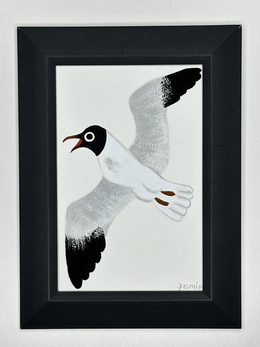 Black headed gull