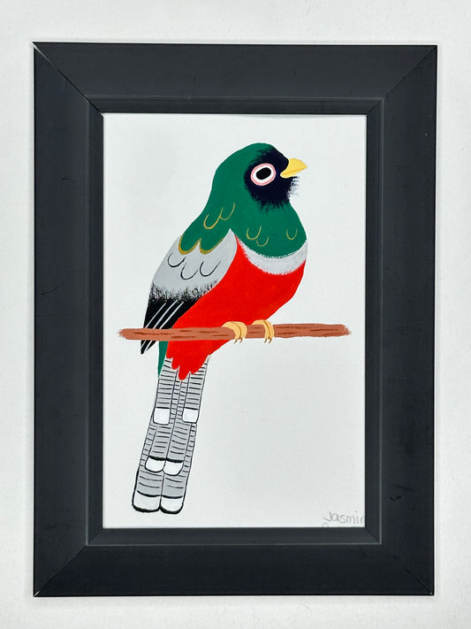 Masked trogon