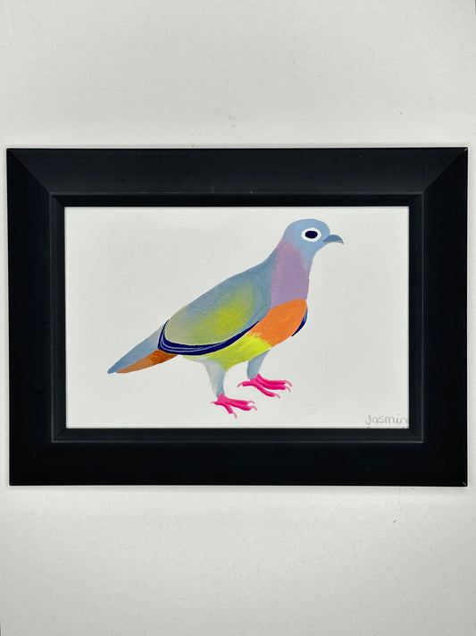 Pink-neck green pigeon