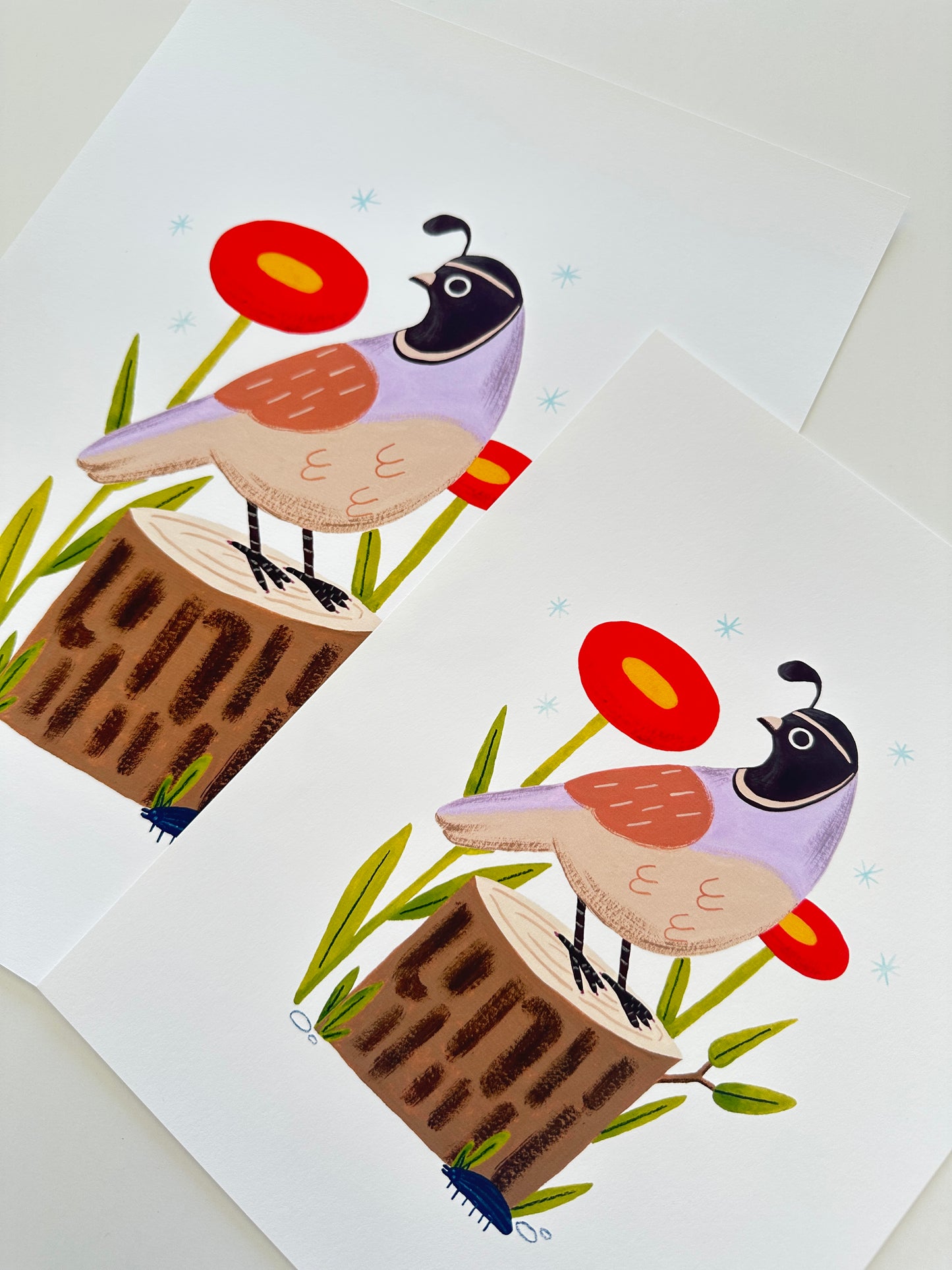 Quail