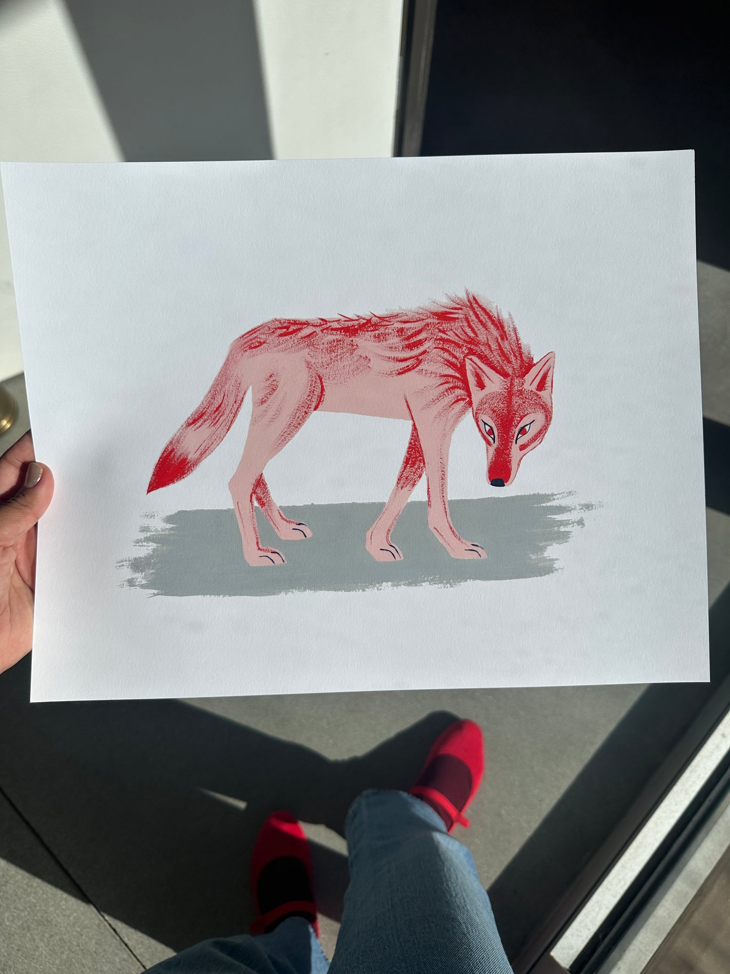 Coyote