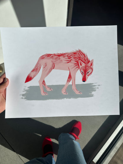 Coyote