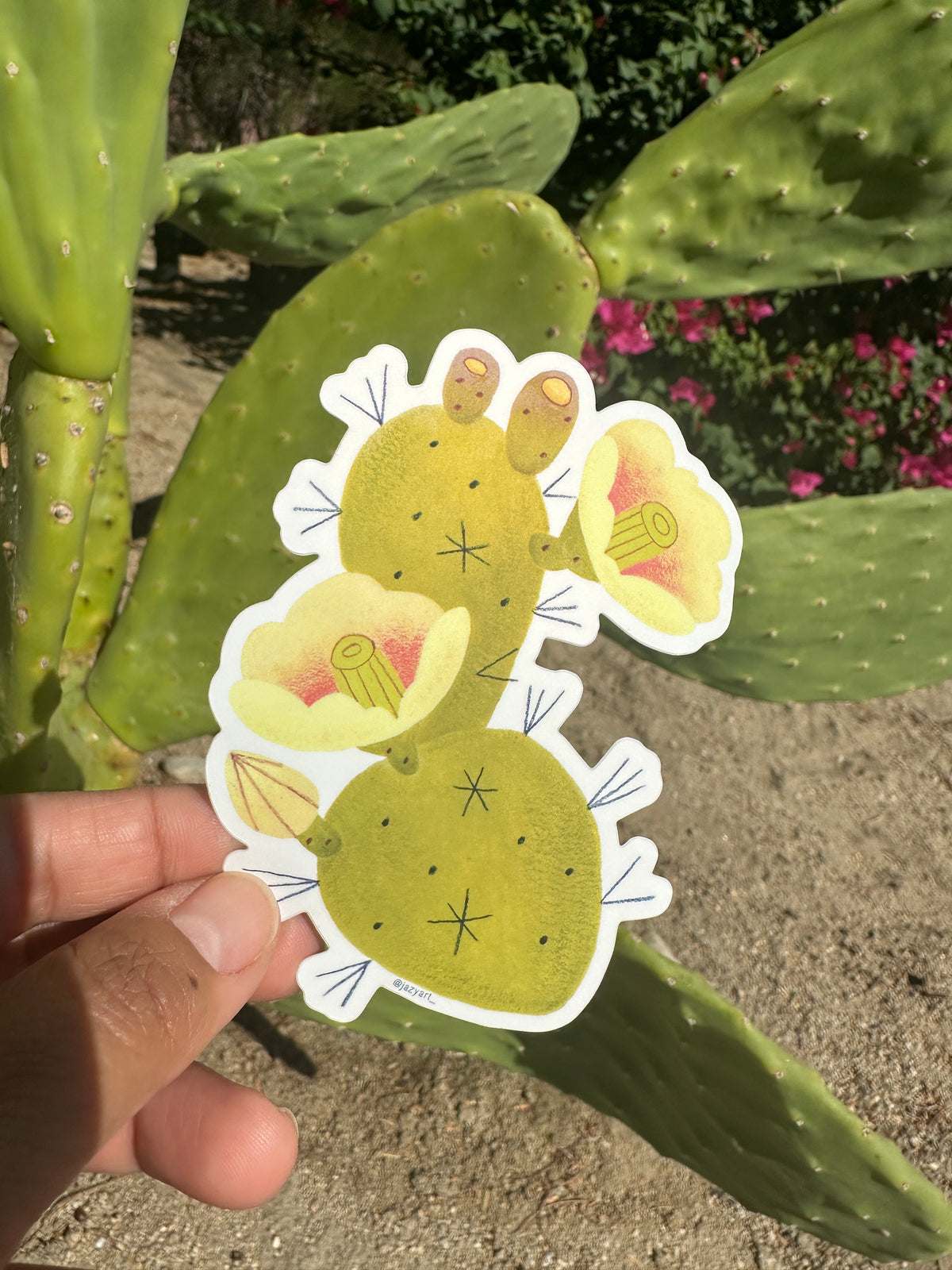Prickly Pear Cactus Sticker