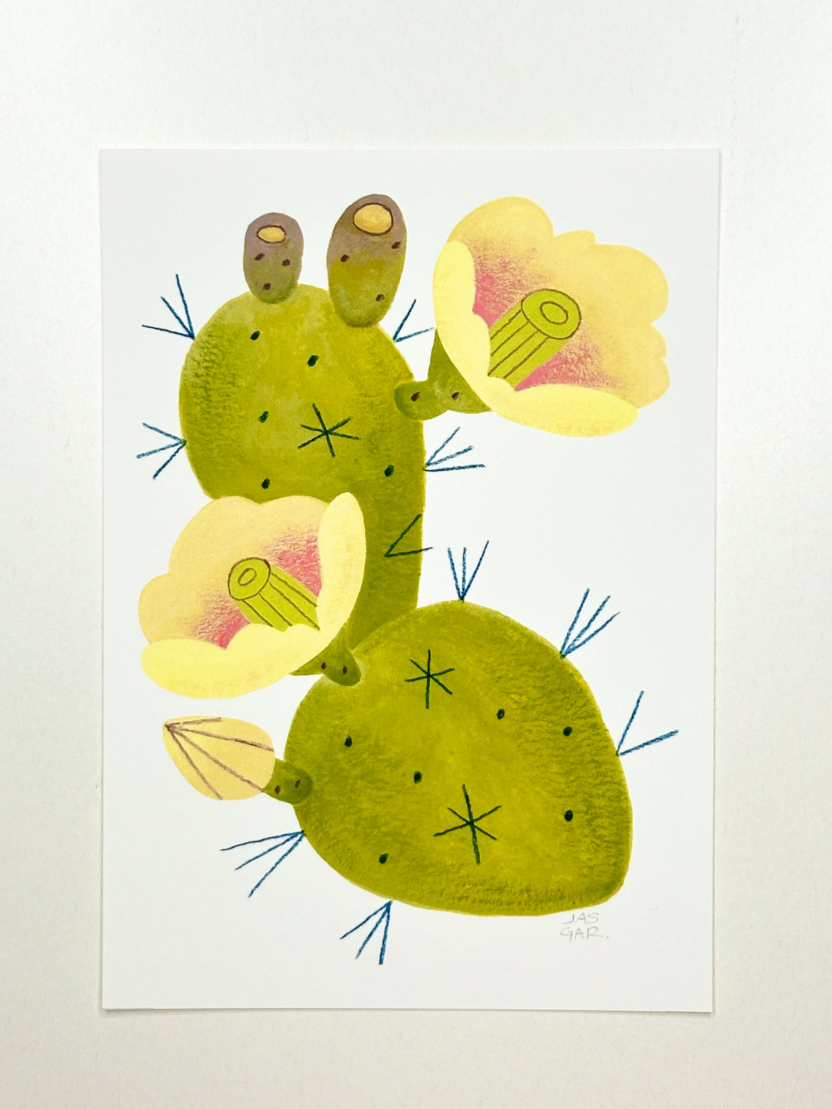 Prickly Pear Cactus