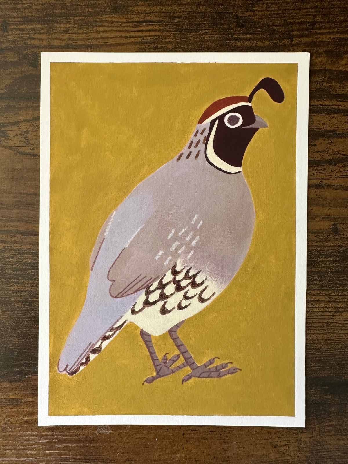 Vigilant Quail