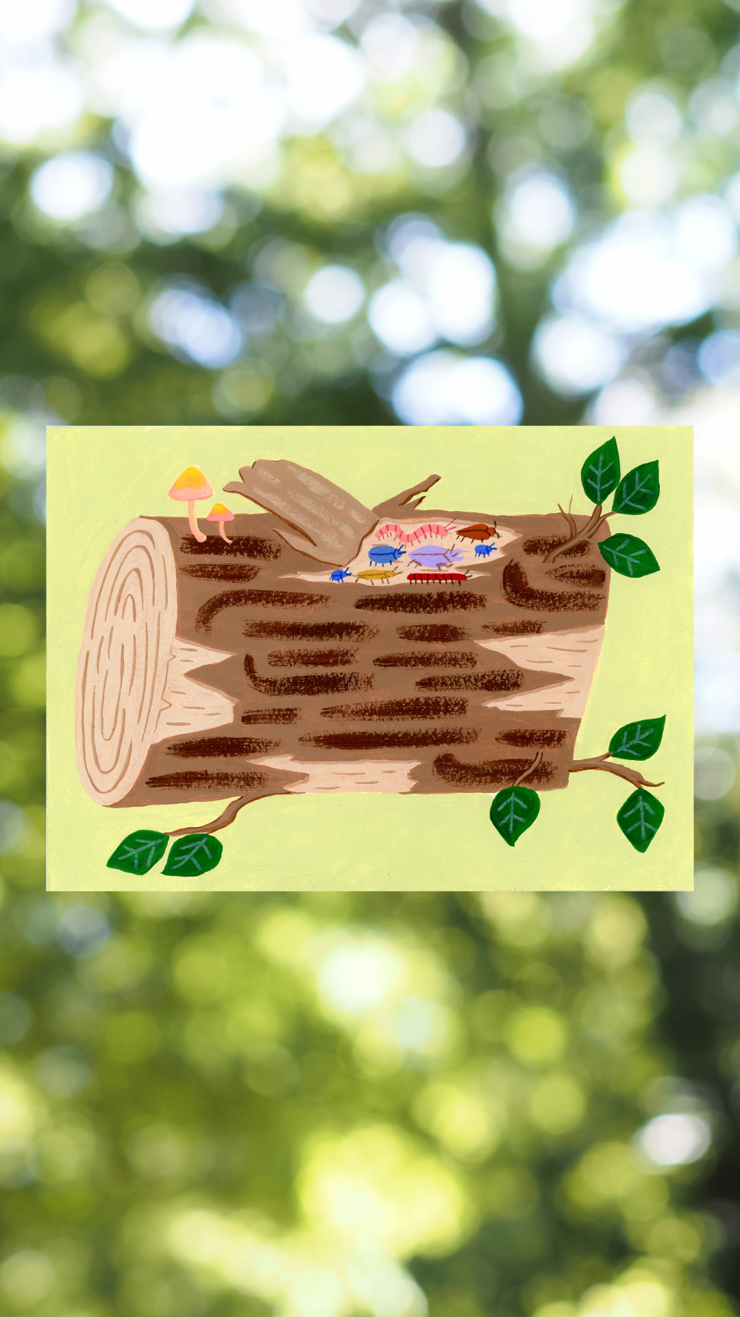 Bark