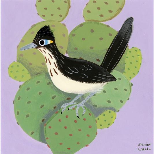 Cactus Roadrunner