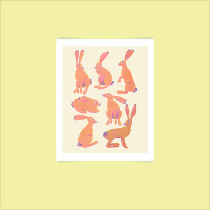 Jackrabbits Print