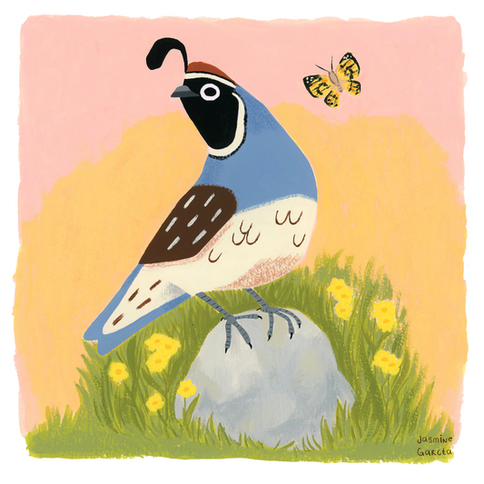 Golden Hour Quail